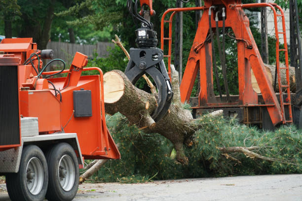 Mulching Services in Felton, CA